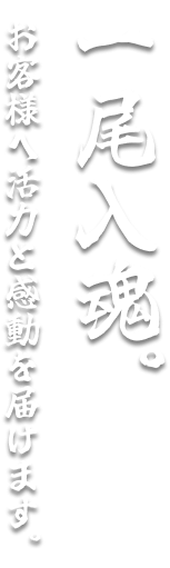 一尾入魂。お客様へ活力と感動を届けます。